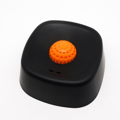 Slow Feeding Non Slip Bowl